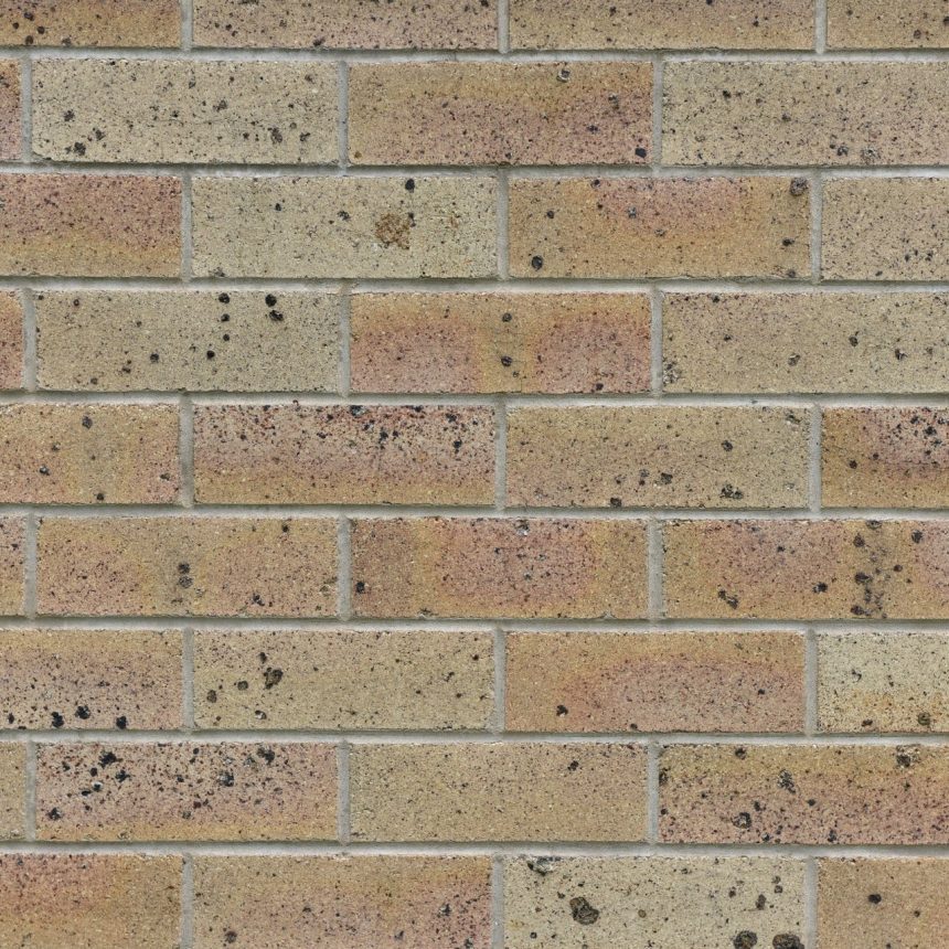 Close-up of the Homestead Central West brick wall, highlighting its charming mix of beige and light brown tones. The textured surface features speckles and subtle colour variations, all arranged in a horizontal pattern.