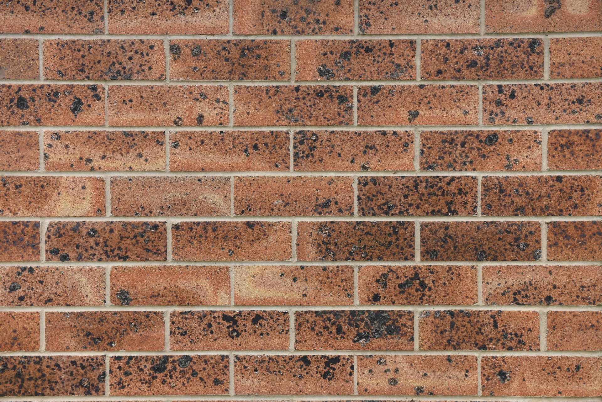 A close-up of the Homestead Hunter Valley product reveals red bricks with dark speckles. These rectangular bricks are horizontally aligned, with visible cement seams separating them. The surface texture is rough and weathered, highlighting the rustic charm of the homestead's architecture.