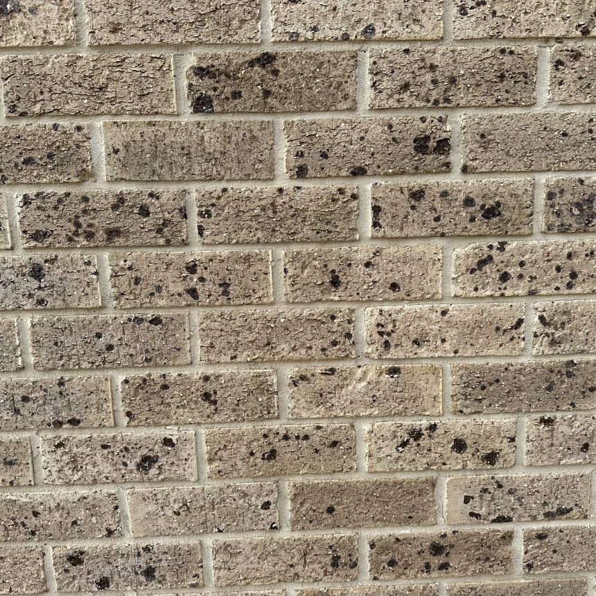 A close-up of a beige brick wall with dark speckles and subtle hints of Lincoln Grey Velour from the product line. The bricks are arranged in a horizontal pattern, highlighting the visible mortar lines. The surface looks weathered and textured, further enhancing its rustic charm.