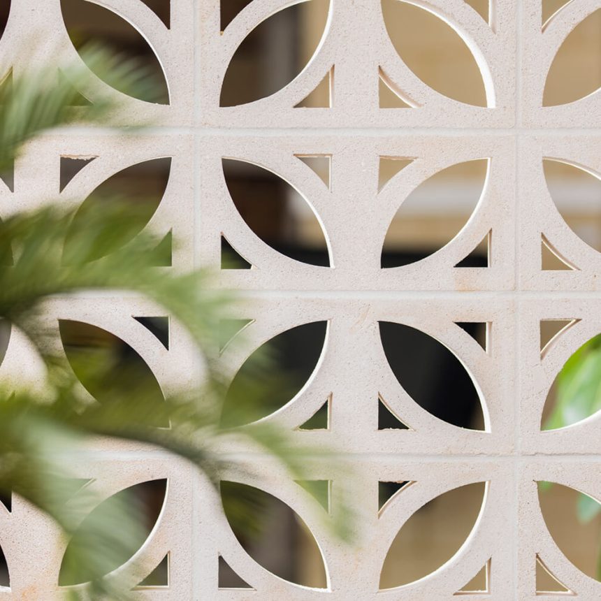 The Breeze Block Ficus, featuring a pattern of circular cutouts that form a geometric design, creates an aesthetically pleasing screen. In the foreground, blurred green palm fronds and ficus leaves complement the composition with a natural touch.