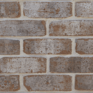 A close-up of Manhattan Harlem brick wall features reddish-brown bricks with light gray mortar in a horizontal layout. The textured surface highlights slight weathering, capturing the authentic look of Manhattan Harlem bricks.