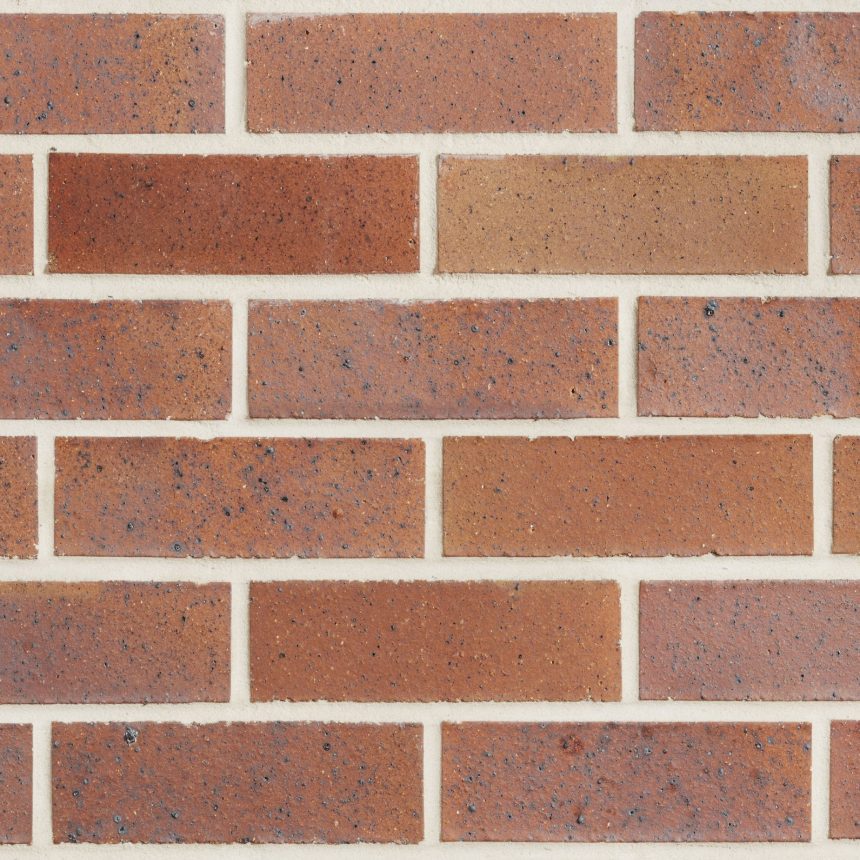 A close-up view of a brick wall reveals a uniform pattern featuring the "Smooth Black and Tan" bricks with a reddish-brown color and slightly speckled texture. They are arranged in horizontal rows, accented by even, light-colored mortar that beautifully contrasts with subtle black and tan nuances.