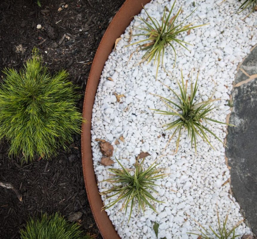 A landscaped garden with small green plants on white gravel, bordered by a curved stone path and dark mulch, enhanced by the timeless appeal of Austral Bricks. The contrasting textures and colors create a harmonious outdoor design.