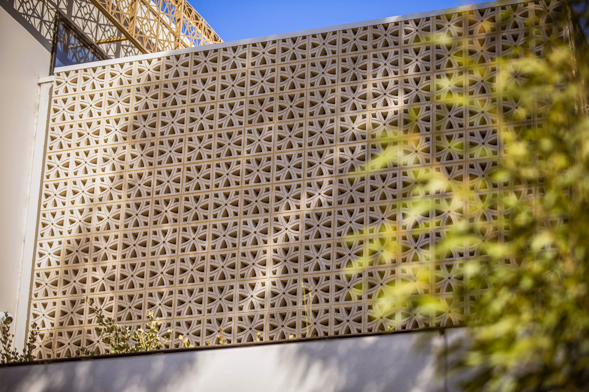 A wall of star block breeze blocks with a tree in the right lower foreground corner