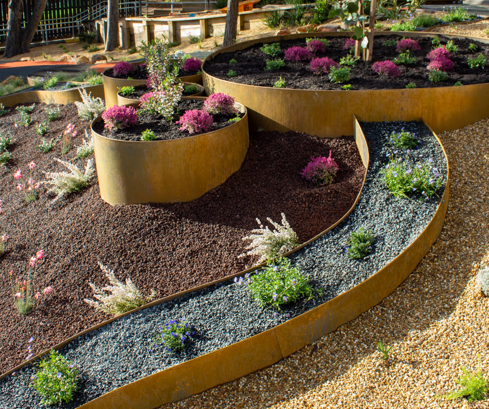 Curved metal planters filled with various green and flowering plants are arranged in mulched and gravel garden beds alongside sleek pavers, creating layered, modern landscaping.